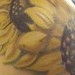 Tattoos - Sunflowers Healed - 48457